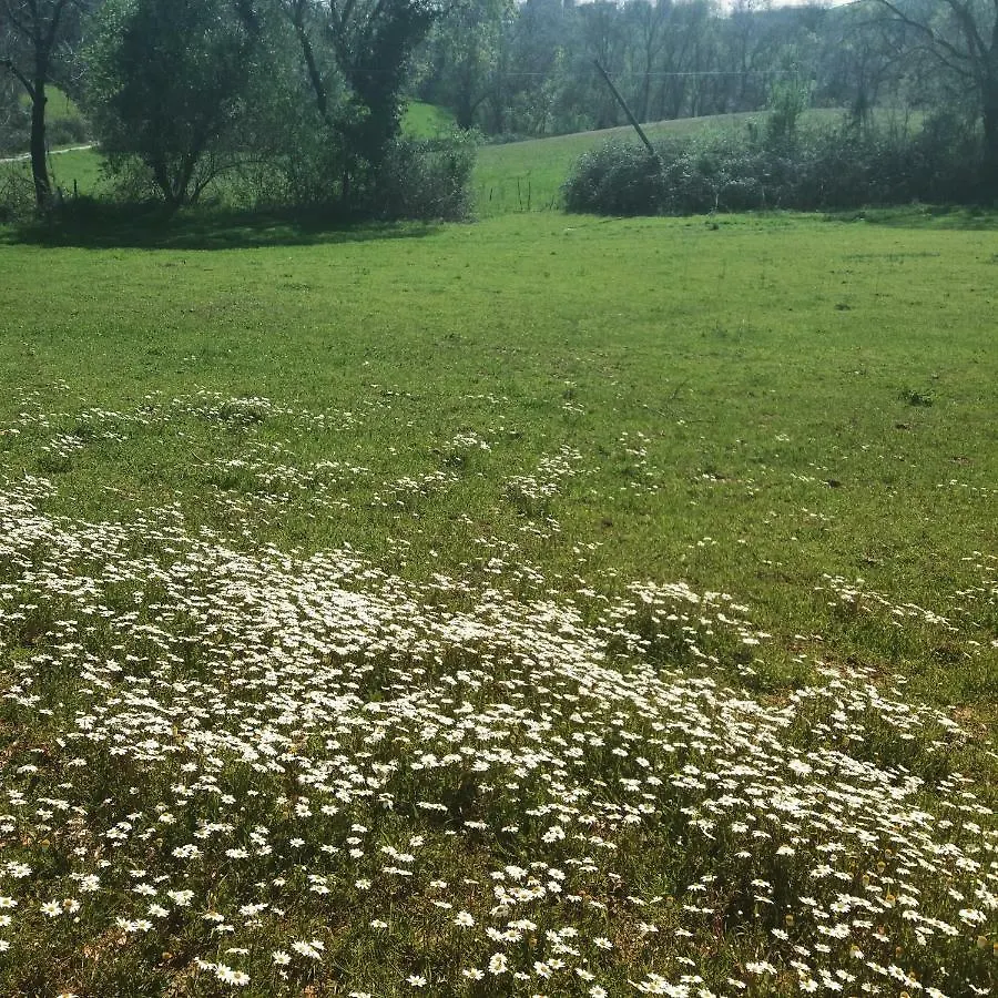 Agriturismo Colleverde カパルビオ ファームステイ
