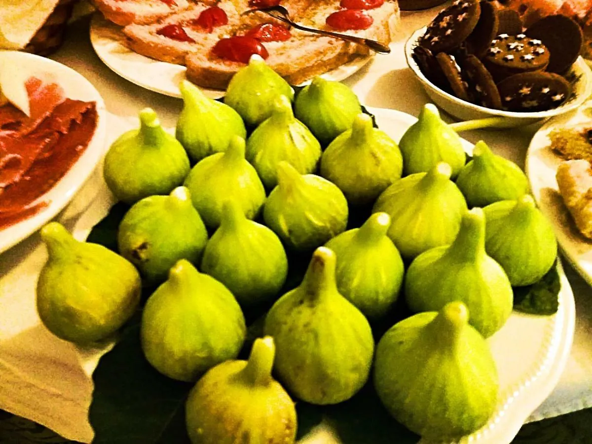 ファームステイ Agriturismo Colleverde カパルビオ