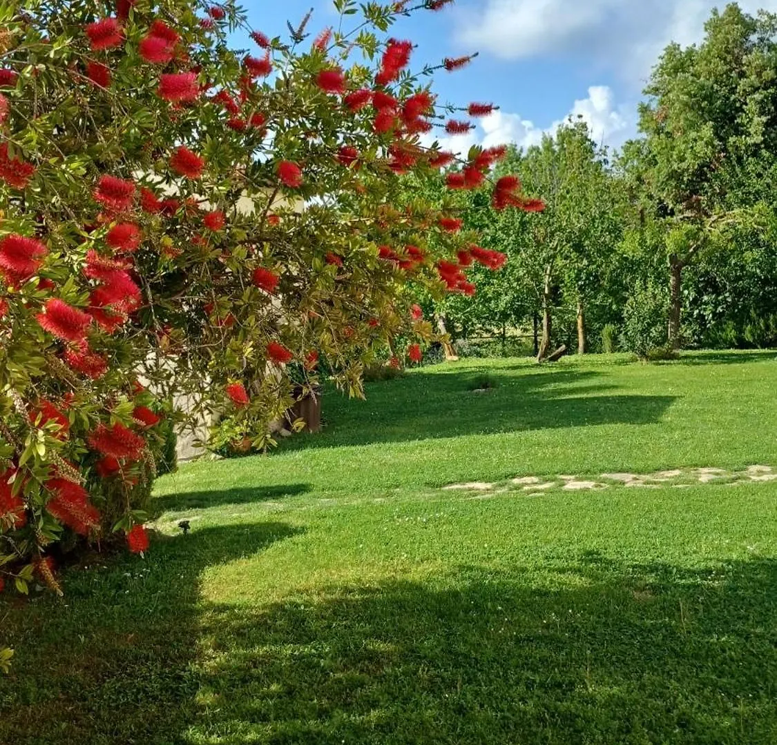 Agriturismo Colleverde Capalbio Bauernhof